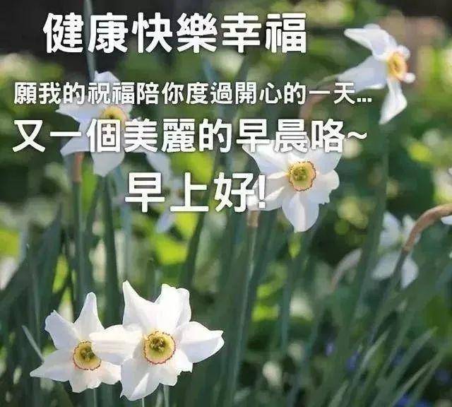 最新清晨祝福短信-“晨曦问候，温馨短信精选”