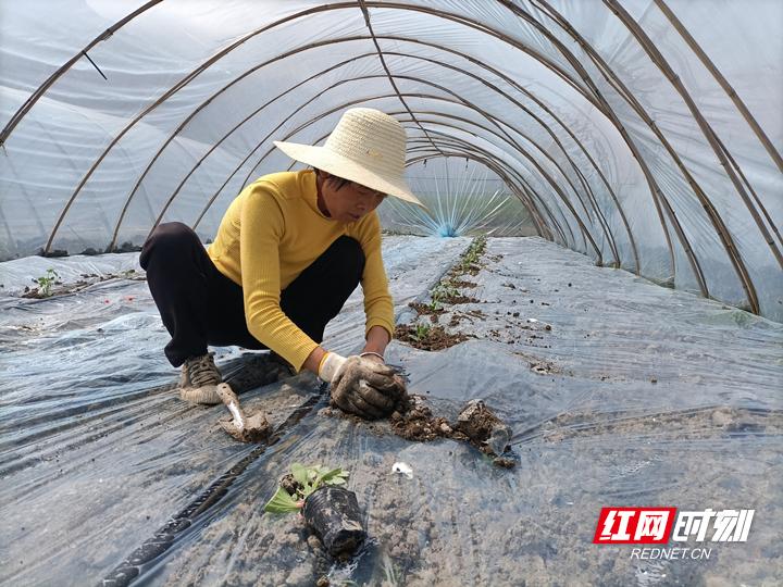 上海超市喜讯连连，全新机遇等你来！🌟