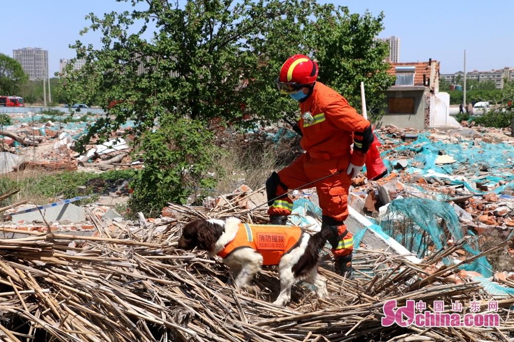 青岛即墨地区地震动态更新，平安守护，共筑和谐家园