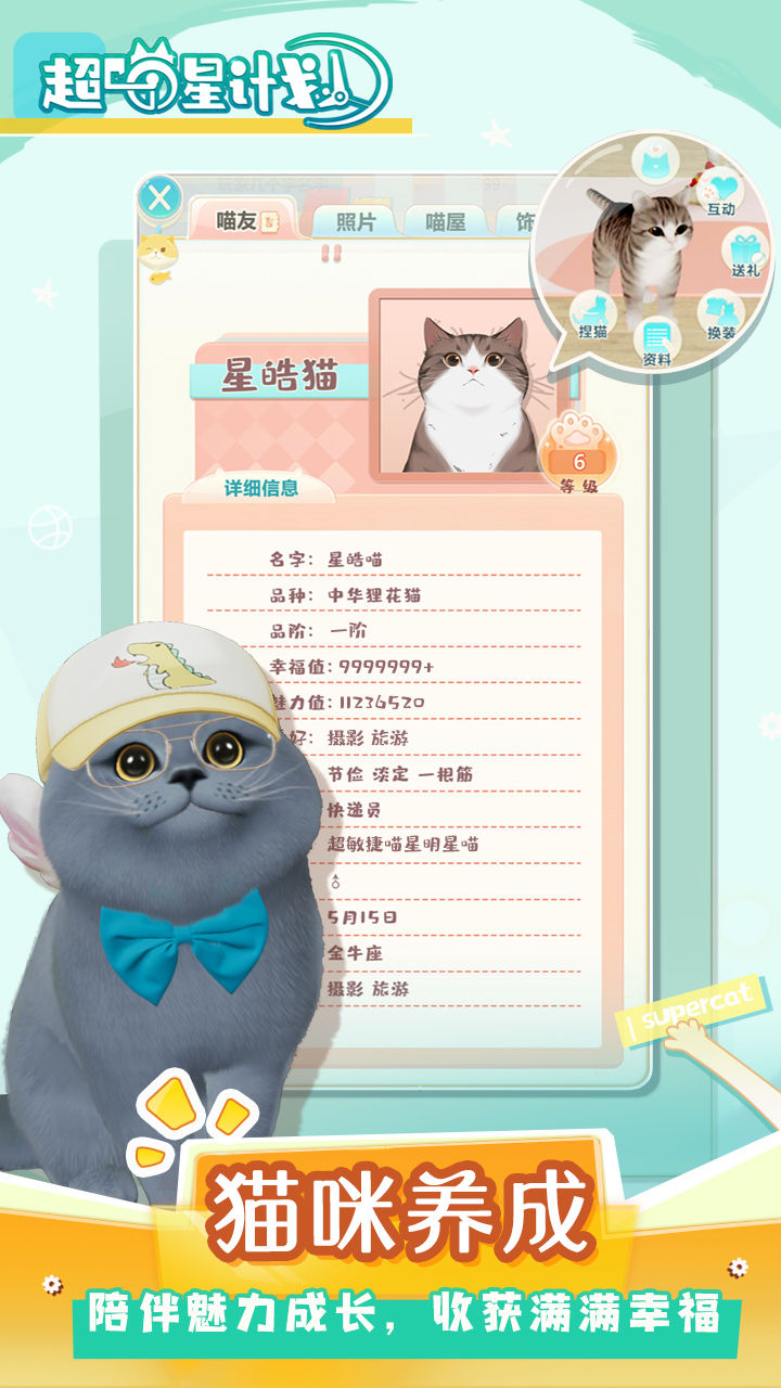 探索猫咪新篇章：精彩内容一键直达🐾