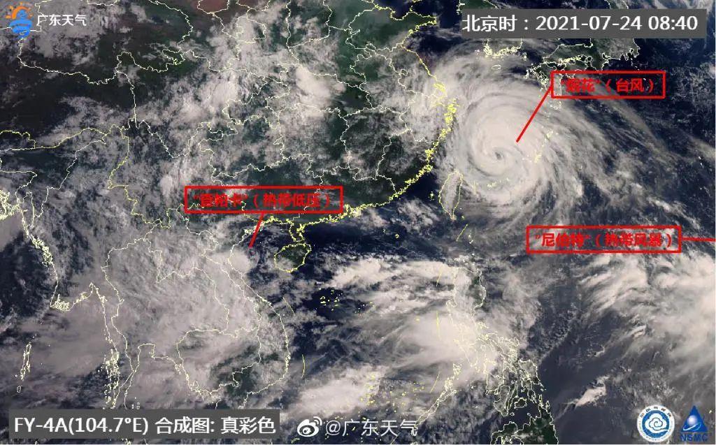 上海烟花台风来袭，最新动态速报解析