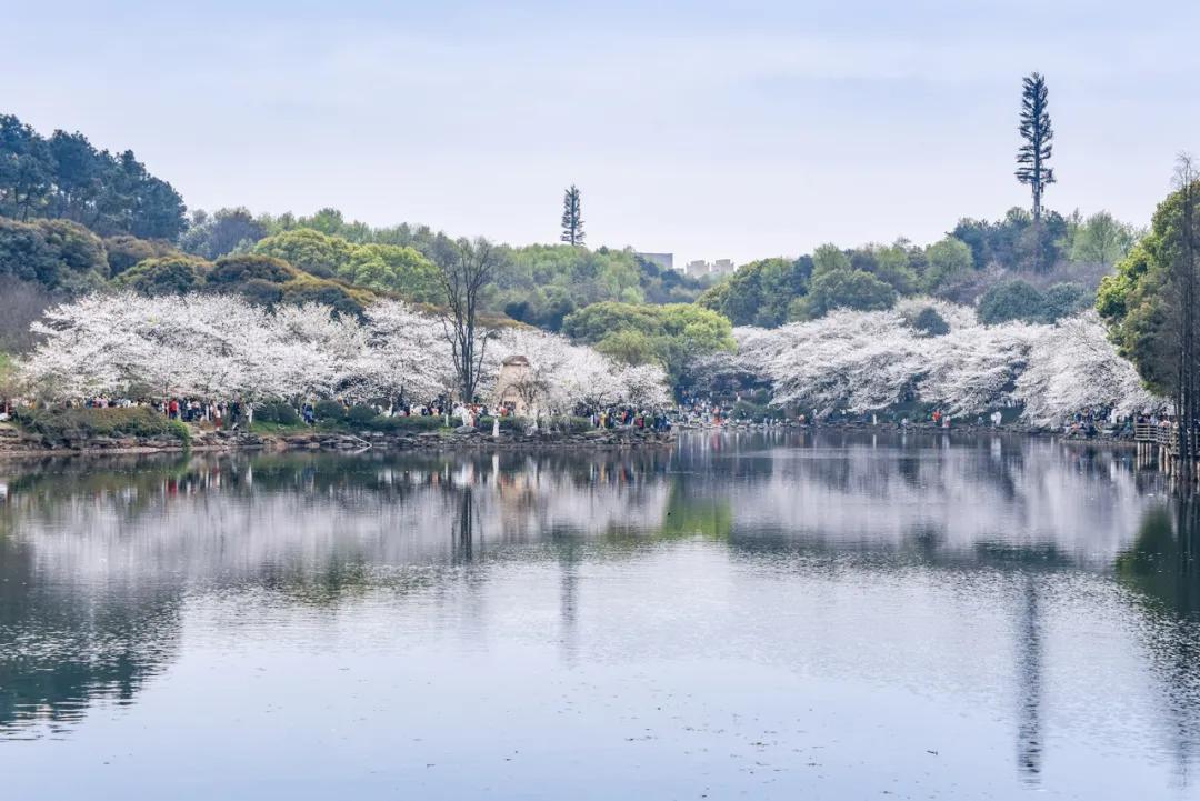 长沙山水别墅最新动态解析